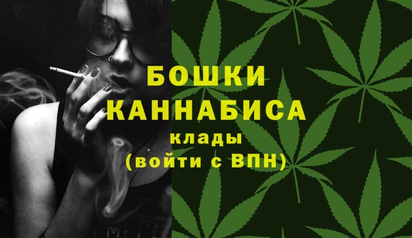 индика Беломорск