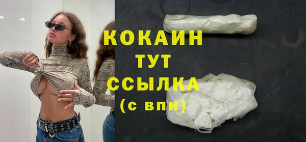 индика Беломорск