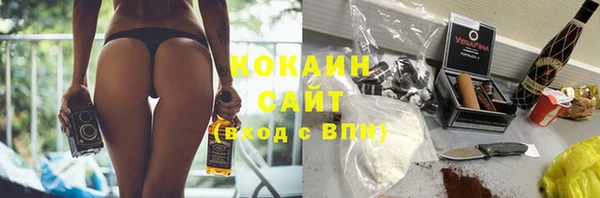 индика Беломорск