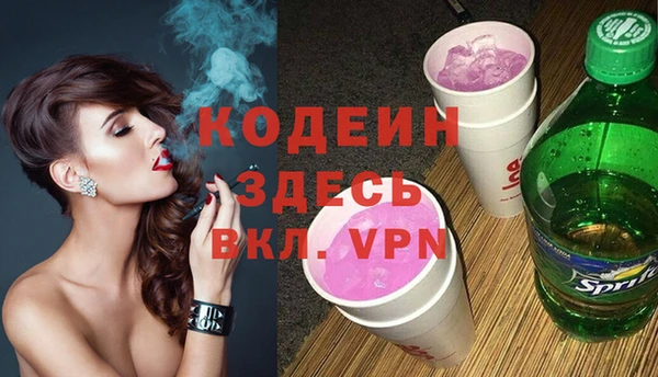 индика Беломорск