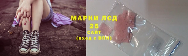 индика Беломорск