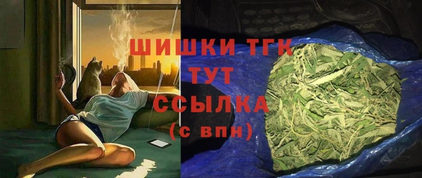 индика Беломорск