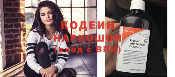 индика Беломорск