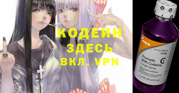 индика Беломорск