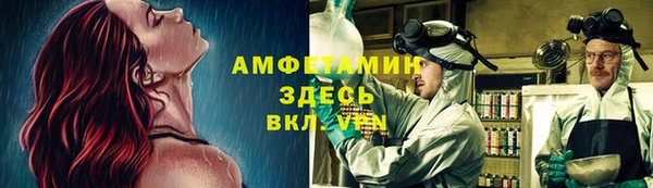 индика Беломорск
