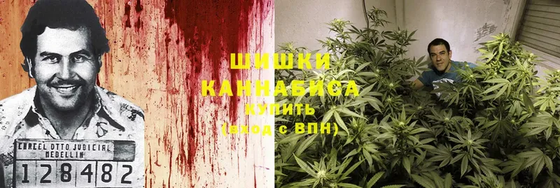 Конопля THC 21%  магазин    Бородино 