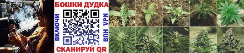 Конопля семена  Бородино 